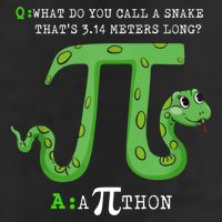 Python Pithon Pi Symbol Funny Math Teacher Pi Day Gift Cool Comfort Performance Bucket Hat