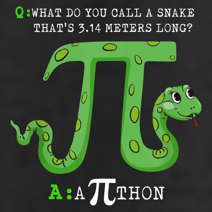 Python Pithon Pi Symbol Funny Math Teacher Pi Day Gift Cool Comfort Performance Bucket Hat