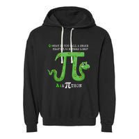 Python Pithon Pi Symbol Funny Math Teacher Pi Day Gift Garment-Dyed Fleece Hoodie