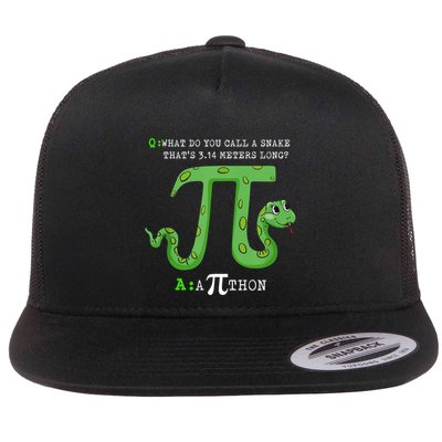 Python Pithon Pi Symbol Funny Math Teacher Pi Day Gift Flatbill Hat