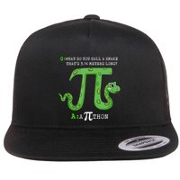 Python Pithon Pi Symbol Funny Math Teacher Pi Day Gift Flatbill Hat