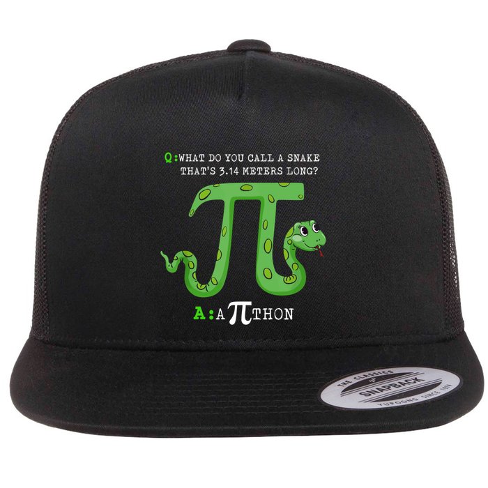 Python Pithon Pi Symbol Funny Math Teacher Pi Day Gift Flatbill Hat