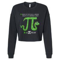 Python Pithon Pi Symbol Funny Math Teacher Pi Day Gift Cropped Pullover Crew