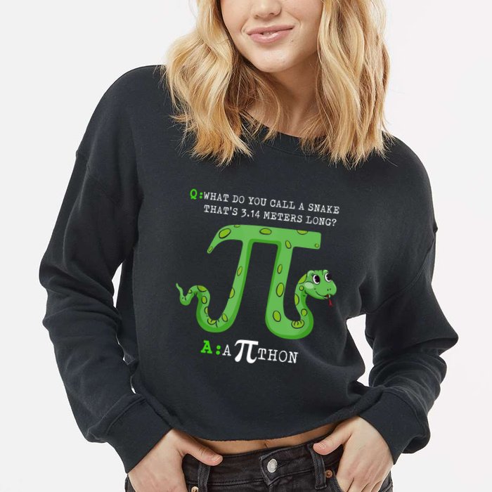 Python Pithon Pi Symbol Funny Math Teacher Pi Day Gift Cropped Pullover Crew