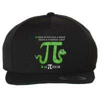 Python Pithon Pi Symbol Funny Math Teacher Pi Day Gift Wool Snapback Cap