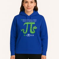 Python Pithon Pi Symbol Funny Math Teacher Pi Day Gift Hoodie