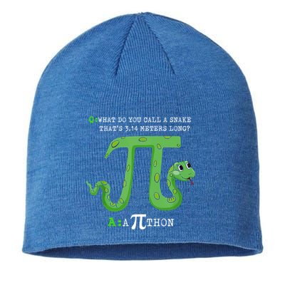 Python Pithon Pi Symbol Funny Math Teacher Pi Day Gift Sustainable Beanie