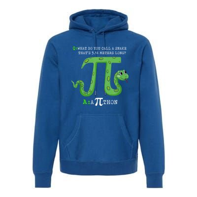 Python Pithon Pi Symbol Funny Math Teacher Pi Day Gift Premium Hoodie