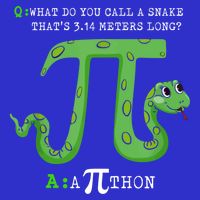 Python Pithon Pi Symbol Funny Math Teacher Pi Day Gift Poster