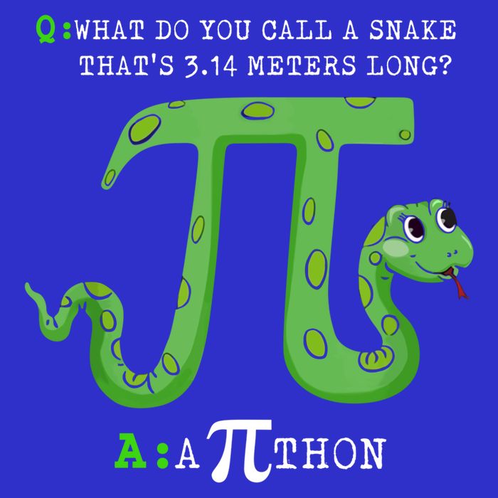 Python Pithon Pi Symbol Funny Math Teacher Pi Day Gift Poster