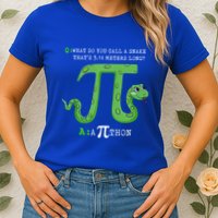 Python Pithon Pi Symbol Funny Math Teacher Pi Day Gift Womens T-Shirt
