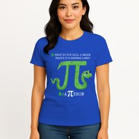 Python Pithon Pi Symbol Funny Math Teacher Pi Day Gift Womens T-Shirt