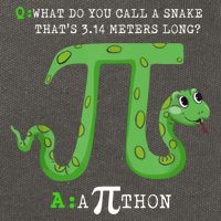Python Pithon Pi Symbol Funny Math Teacher Pi Day Gift Cotton Canvas Backpack