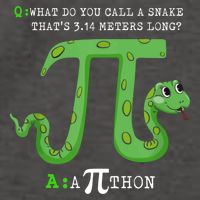 Python Pithon Pi Symbol Funny Math Teacher Pi Day Gift Vector Backpack
