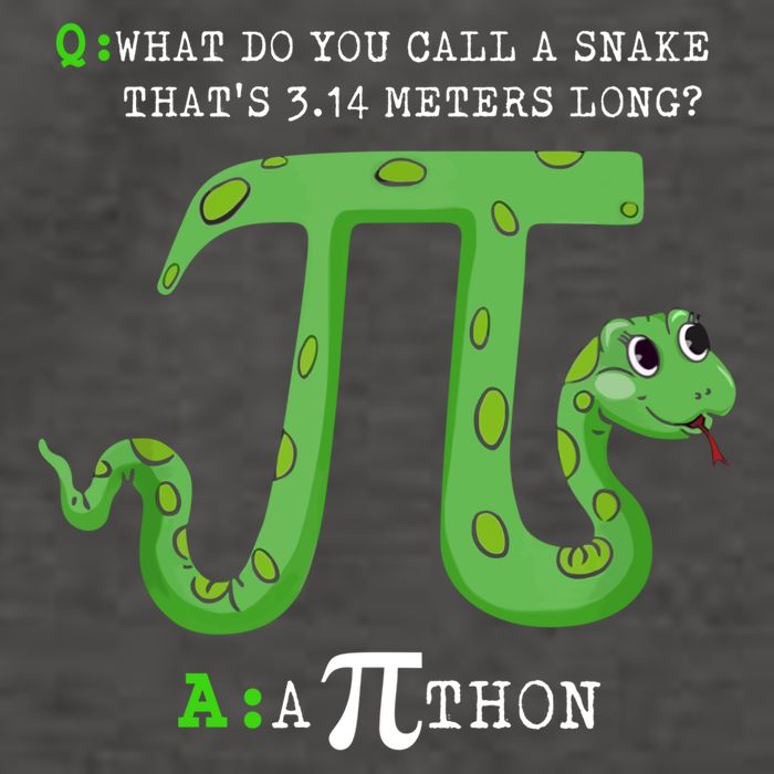 Python Pithon Pi Symbol Funny Math Teacher Pi Day Gift Vector Backpack