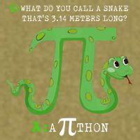 Python Pithon Pi Symbol Funny Math Teacher Pi Day Gift Garment-Dyed Women's Muscle Tee
