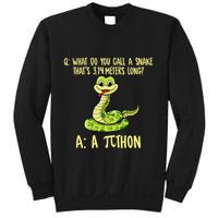 Python Pithon Pi Symbol Funny Pi Day Math Teacher Student .Png Sweatshirt