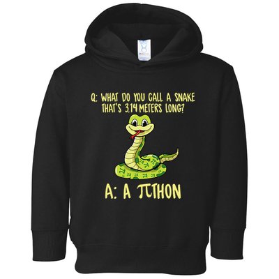 Python Pithon Pi Symbol Funny Pi Day Math Teacher Student .Png Toddler Hoodie