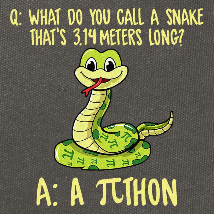Python Pithon Pi Symbol Funny Pi Day Math Teacher Student .Png Cotton Canvas Backpack