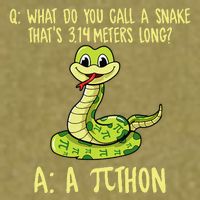 Python Pithon Pi Symbol Funny Pi Day Math Teacher Student .Png Garment-Dyed Women's Muscle Tee