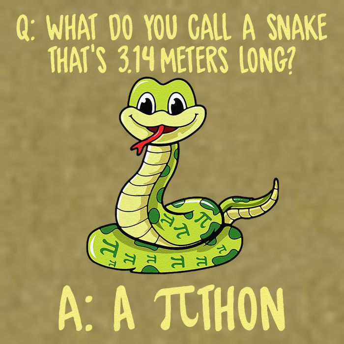 Python Pithon Pi Symbol Funny Pi Day Math Teacher Student .Png Garment-Dyed Women's Muscle Tee