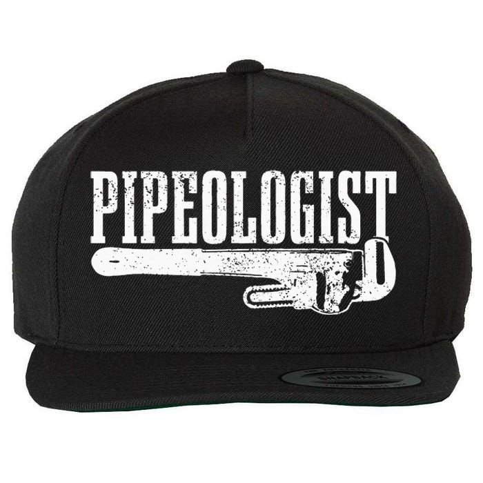 Plumber Pipeologist Plumbing Funny Plumber Wool Snapback Cap