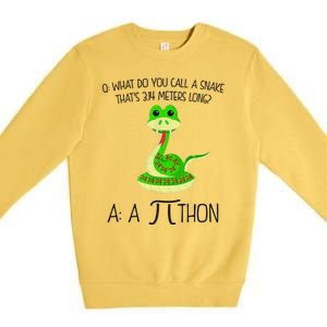 Python Pithon Pi Symbol Funny Math Teacher Premium Crewneck Sweatshirt