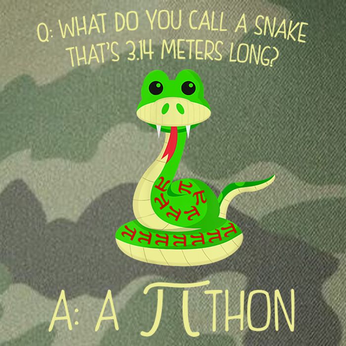 Python Pithon Pi Symbol Funny Math Teacher Legacy Tie Dye Trucker Hat
