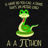 Python Pithon Pi Symbol Funny Math Teacher Ladies PosiCharge Tri-Blend Wicking Tank