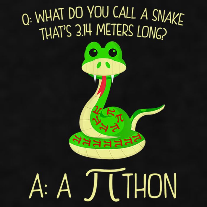 Python Pithon Pi Symbol Funny Math Teacher Ladies PosiCharge Tri-Blend Wicking Tank
