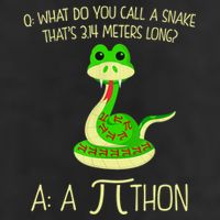 Python Pithon Pi Symbol Funny Math Teacher Cool Comfort Performance Bucket Hat