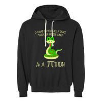 Python Pithon Pi Symbol Funny Math Teacher Garment-Dyed Fleece Hoodie