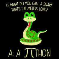 Python Pithon Pi Symbol Funny Math Teacher Performance Long Sleeve Polo