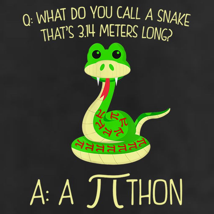 Python Pithon Pi Symbol Funny Math Teacher 25L Jumbo Tote