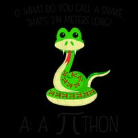 Python Pithon Pi Symbol Funny Math Teacher Baseball Sleeve Shirt