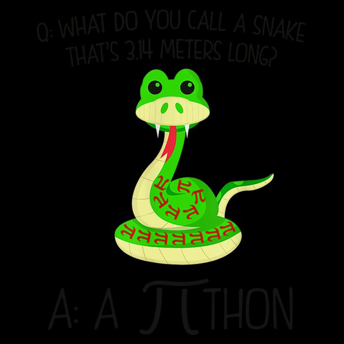 Python Pithon Pi Symbol Funny Math Teacher Baseball Sleeve Shirt