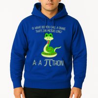 Python Pithon Pi Symbol Funny Math Teacher Hoodie