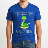 Python Pithon Pi Symbol Funny Math Teacher V-Neck T-Shirt