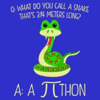 Python Pithon Pi Symbol Funny Math Teacher Button