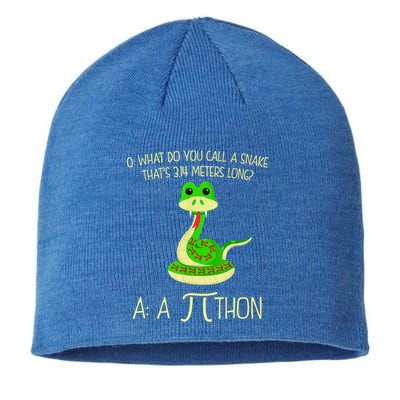 Python Pithon Pi Symbol Funny Math Teacher Sustainable Beanie