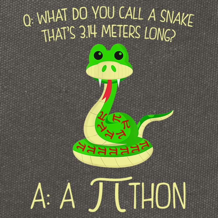 Python Pithon Pi Symbol Funny Math Teacher Cotton Canvas Backpack