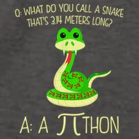 Python Pithon Pi Symbol Funny Math Teacher Vector Backpack