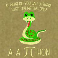 Python Pithon Pi Symbol Funny Math Teacher Garment-Dyed Women's Muscle Tee