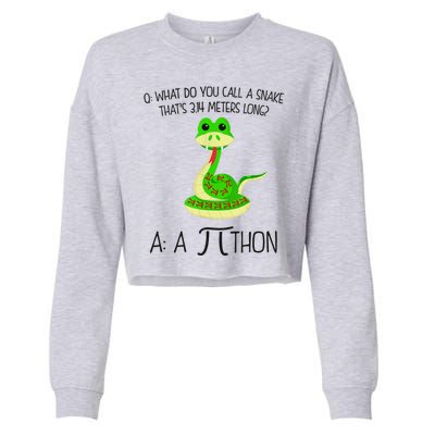 Python Pithon Pi Symbol Funny Math Teacher Cropped Pullover Crew