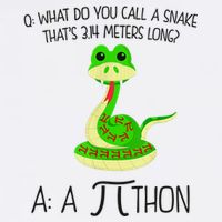 Python Pithon Pi Symbol Funny Math Teacher Garment-Dyed Sweatshirt