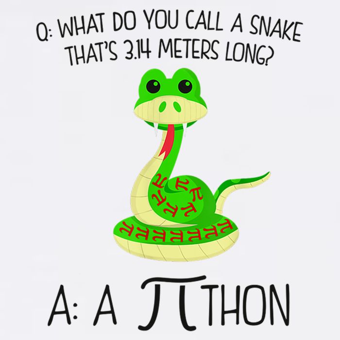 Python Pithon Pi Symbol Funny Math Teacher Garment-Dyed Sweatshirt