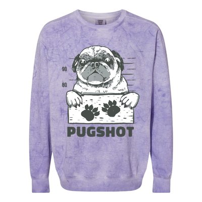 Pugshot Pug Colorblast Crewneck Sweatshirt