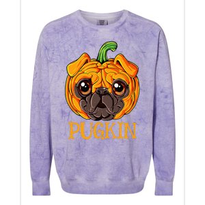 Pugkin Pug Pumpkin Halloween Thanksgiving Dog Colorblast Crewneck Sweatshirt