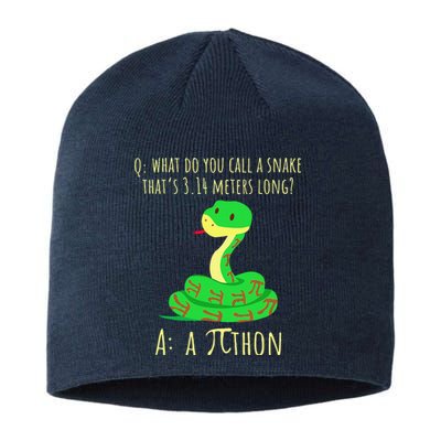 Python Pithon Pi Symbol Funny Math Teacher Pi Day Sustainable Beanie