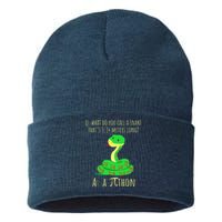 Python Pithon Pi Symbol Funny Math Teacher Pi Day Sustainable Knit Beanie